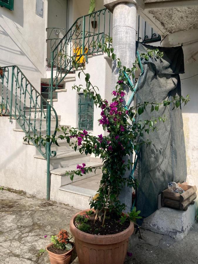 Nel Blu Dipinto Di Blu Apartment 레반토 외부 사진